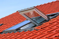 Moldgreen roof window