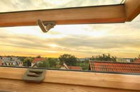 rated Moldgreen roof window companies